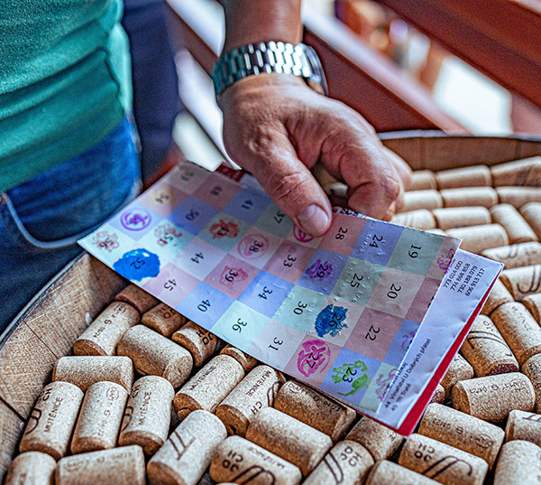 online katalog vín a vinařství